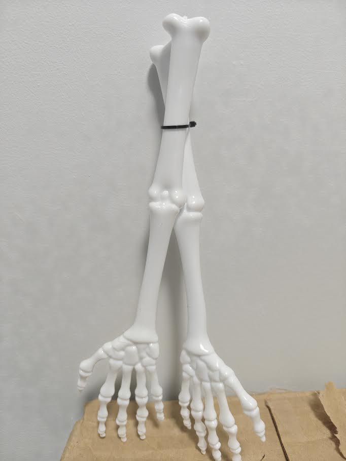 Skeleton Tongs
