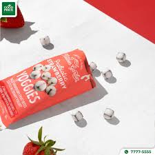 Nature s Garden Probiotic Strawberry Yoggies 0.7 oz (1 Pack)